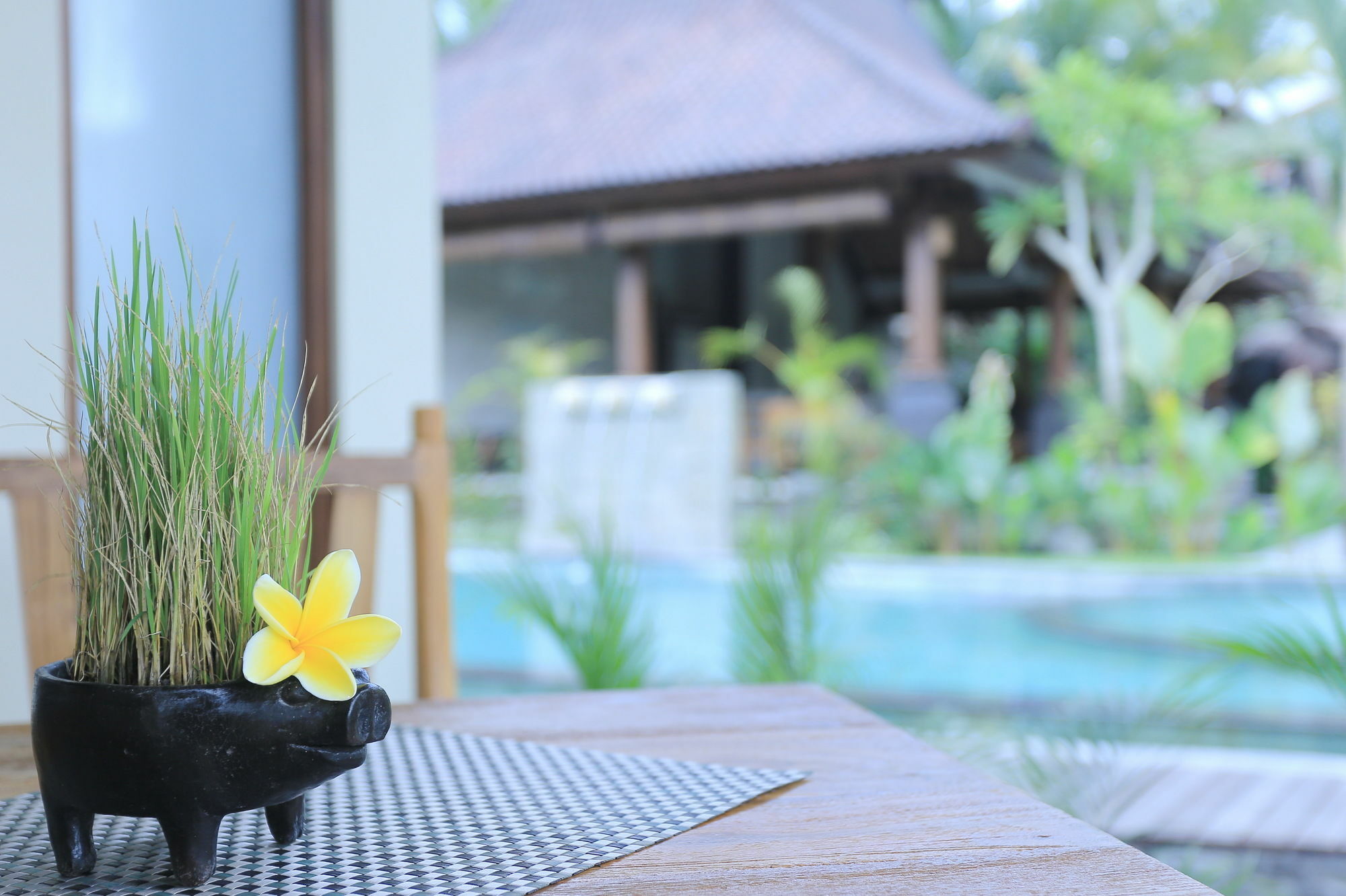 Masia 4* Ubud